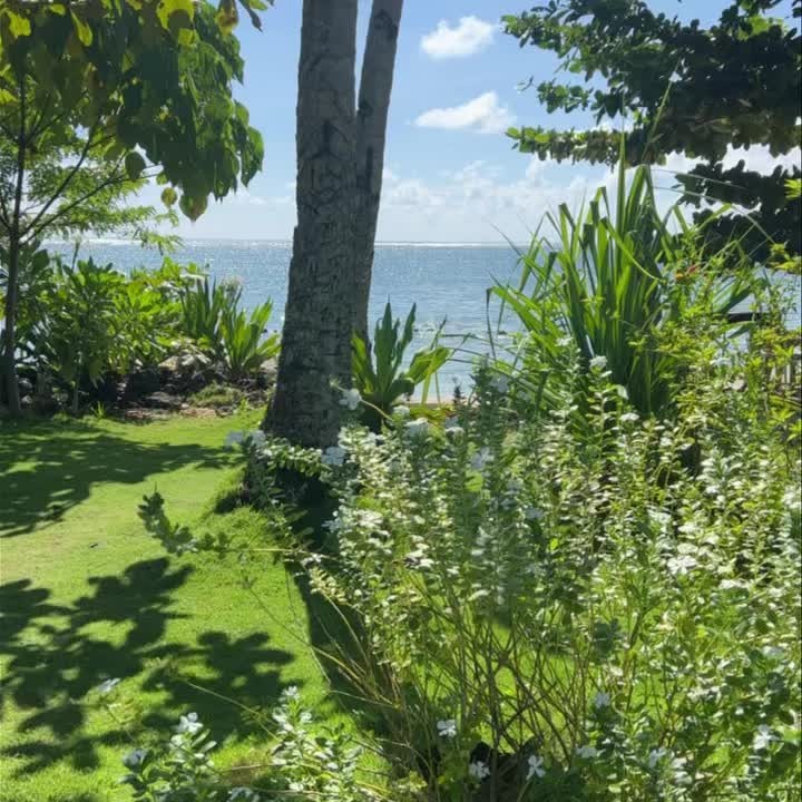 Aloha Hostel Siargao Instagram